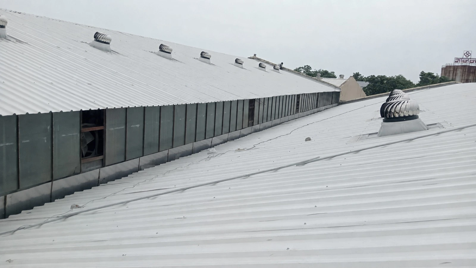 Roof Sheet Replacement & Shed Refurbishment